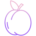 external apricot-vegan-icongeek26-outline-gradient-icongeek26 icon