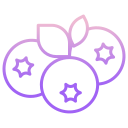 external blueberry-vegan-icongeek26-outline-gradient-icongeek26 icon