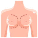 external breast-plastic-surgery-justicon-flat-justicon-1 icon