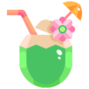 external coconut-water-thailand-element-justicon-flat-justicon icon