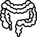 external intestine-human-organs-justicon-lineal-justicon icon