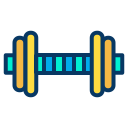 external dumbell-healthy-kiranshastry-lineal-color-kiranshastry icon