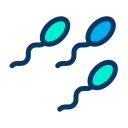 external sperm-medical-kiranshastry-lineal-color-kiranshastry icon