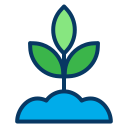 external sprout-cultivation-kiranshastry-lineal-color-kiranshastry icon