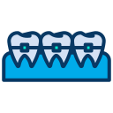 external teeth-dental-kiranshastry-lineal-color-kiranshastry icon