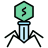 external bacteria-virus-families-lineal-color-zulfa-mahendra-2 icon