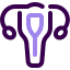 external Uterus-human-anatomy-lylac-kerismaker icon