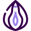 external Vagina-human-anatomy-lylac-kerismaker icon