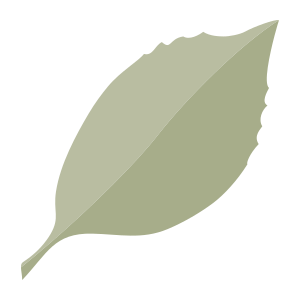 external Leaf-leaves-objects-color-edt.graphics-28 icon