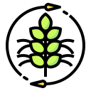 external agronomy-agriculture-intelligence-phatplus-lineal-color-phatplus icon