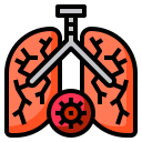 external disease-covid19-phatplus-lineal-color-phatplus icon