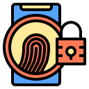 external fingerprint-digital-payment-phatplus-lineal-color-phatplus icon