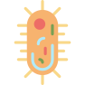 external virus-dentistry-prettycons-flat-prettycons icon