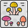 external mushrooms-cooking-sbts2018-outline-color-sbts2018 icon