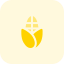 external grilled-sweet-corn-as-a-common-dish-for-festive-season-thanksgiving-tritone-tal-revivo icon