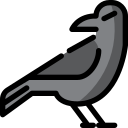 external crow-halloween-tulpahn-outline-color-tulpahn icon