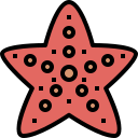 external starfish-summer-tulpahn-outline-color-tulpahn icon