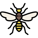 external wasp-insect-tulpahn-outline-color-tulpahn icon