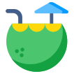 external Coconut-Water-food-and-drink-vectorslab-flat-vectorslab icon