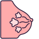 external breast-internal-human-organs-victoruler-linear-colour-victoruler icon