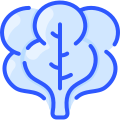 external spinach-vegetable-vitaliy-gorbachev-blue-vitaly-gorbachev icon