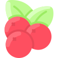 external cranberry-fruit-vitaliy-gorbachev-flat-vitaly-gorbachev icon