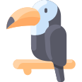 external toucan-jungle-vitaliy-gorbachev-flat-vitaly-gorbachev icon