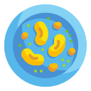 external bean-healthy-food-wanicon-flat-wanicon icon