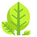 external botanical-spring-season-wanicon-flat-wanicon icon