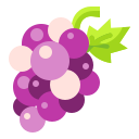 external grapes-fruits-and-vegetables-wanicon-flat-wanicon icon