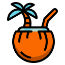 external coconut-beach-wanicon-lineal-color-wanicon icon