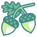 external acorn-thanksgiving-wanicon-two-tone-wanicon icon