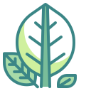 external botanical-spring-season-wanicon-two-tone-wanicon icon