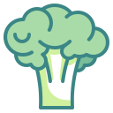 external broccoli-fruits-and-vegetables-wanicon-two-tone-wanicon icon