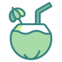 external coconut-drink-wanicon-two-tone-wanicon icon