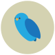 bird icon