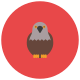 falcon icon