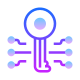 grand master-key icon