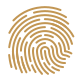 fingerprint icon