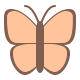 butterfly icon