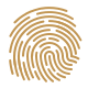 fingerprint icon