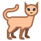 cat icon