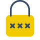 password icon