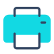 print icon