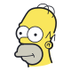 homer simpson icon