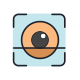 iris scan icon