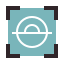 iris scan icon