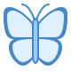 butterfly icon